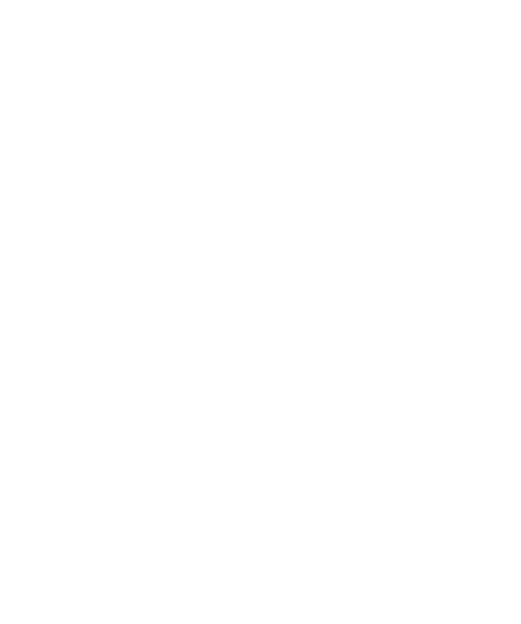 Cyber Essentials